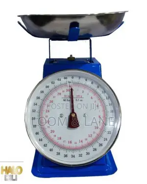 20kg Spring Commercial Weighing Scale