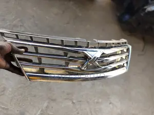 Mark X 2008 Grill
