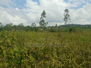 260 Acres Agricultural Land