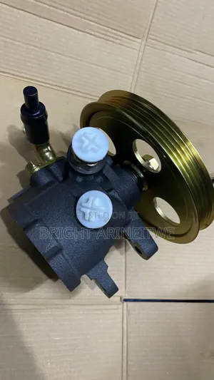 Steering Pump for Toyota Ipsum,Gaia, Harrier 3s-Fe.