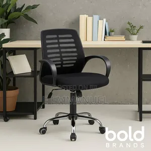 Mid Back Mesh Chair
