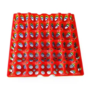 Plastic Egg Trays Egg Trays Holder