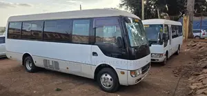 Mitsubishi Fuso Rosa 2012 Grey