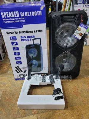 Jazz 10" Rechargeble Audio System 2 Wireless Microphones