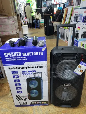 10" Rechargeable Bluetooth Public Addres System + 2 Mics