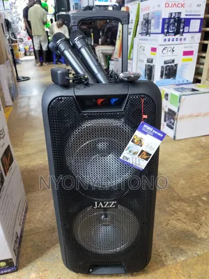 10" Rechargeable Bluetooth Public Addres System + 2 Mics