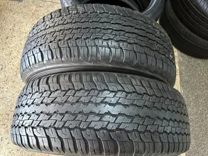 265/60r18 Dunlop Japan Tyres