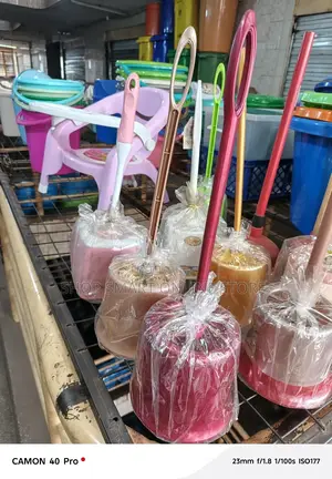 Cleaning Toilet Brushes