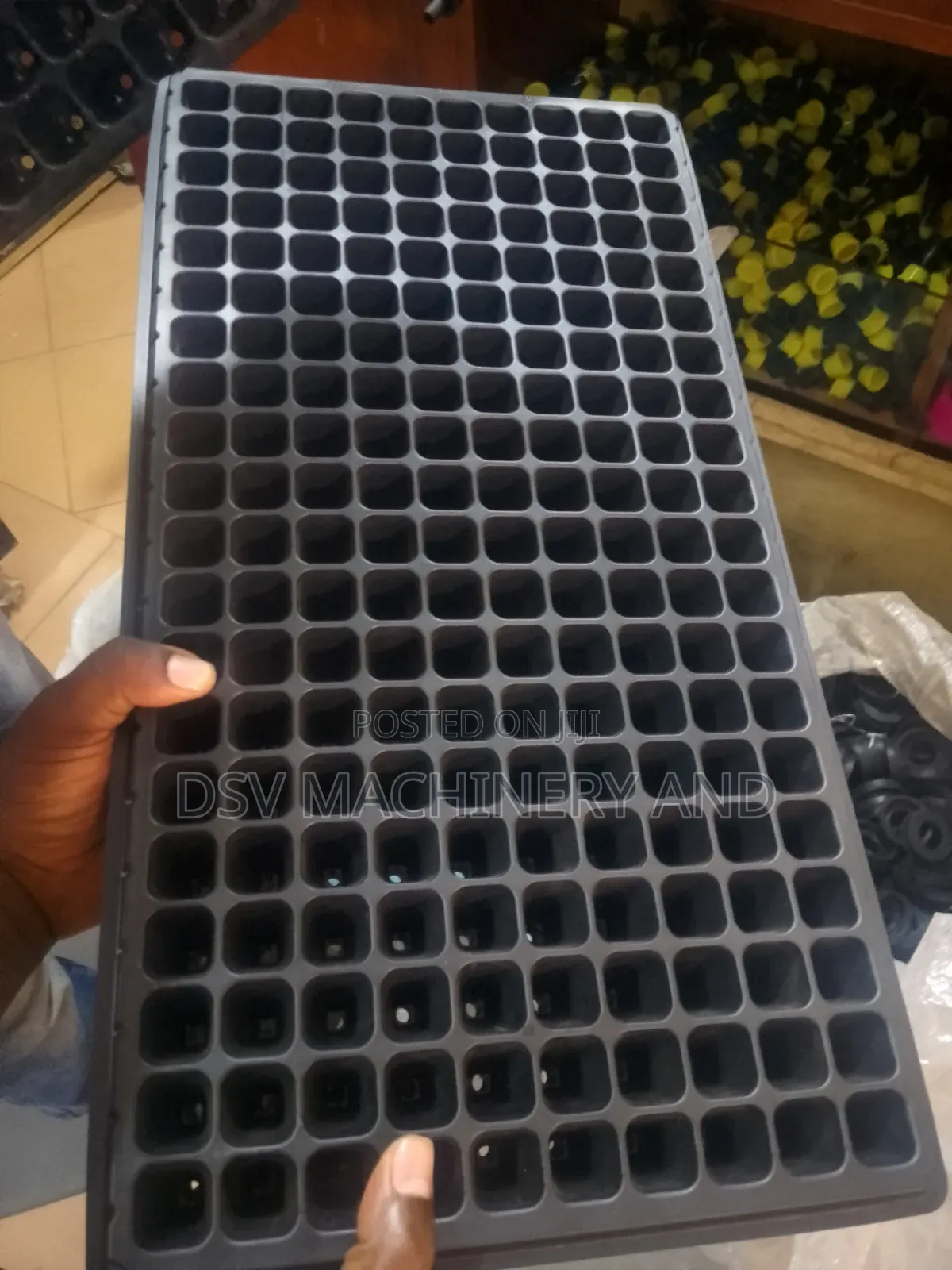 Seed Trays All Sizes