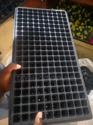 Seed Trays All Sizes