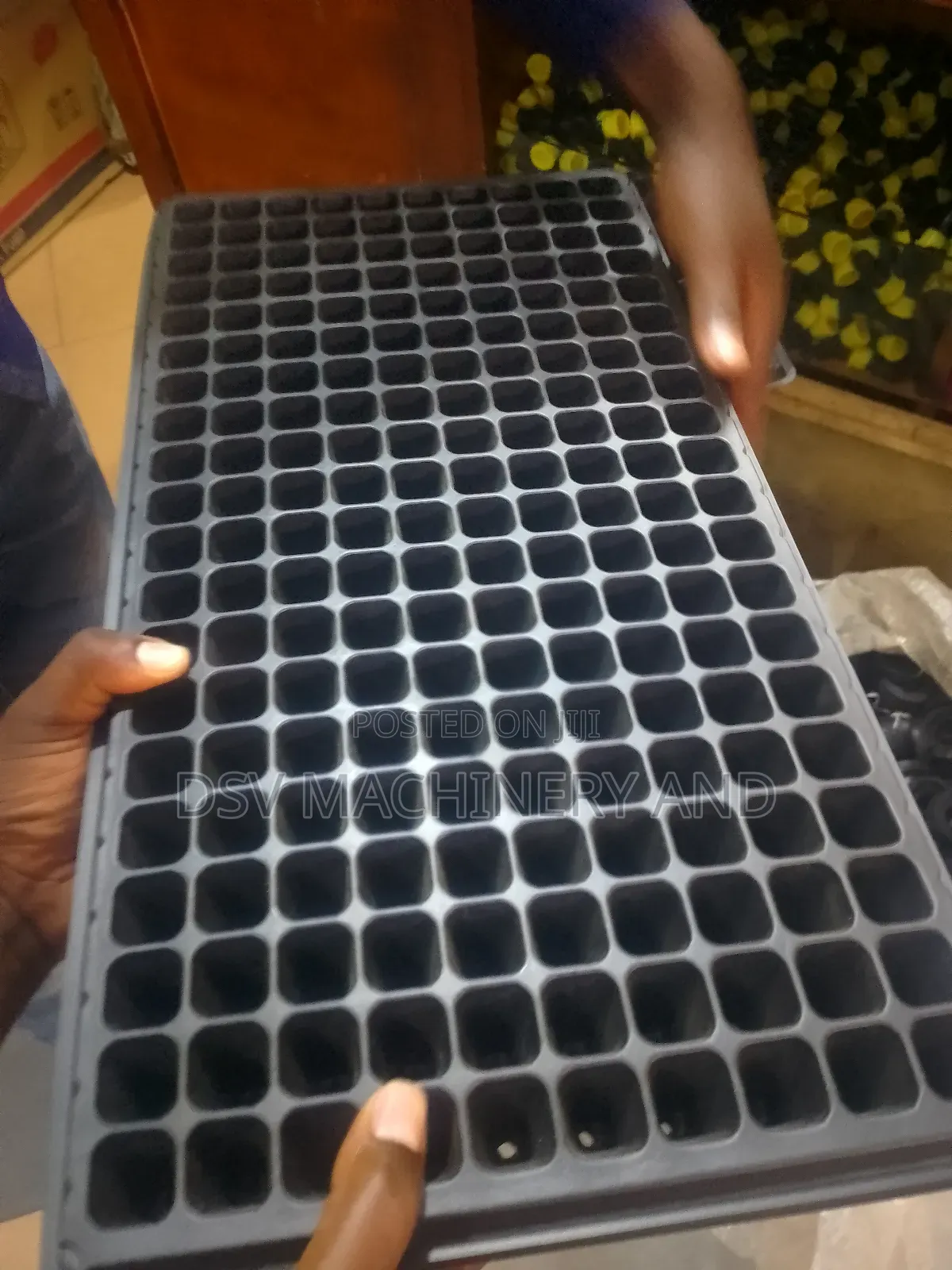 Seed Trays All Sizes