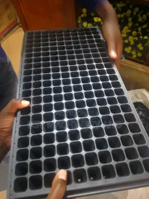 Seed Trays All Sizes