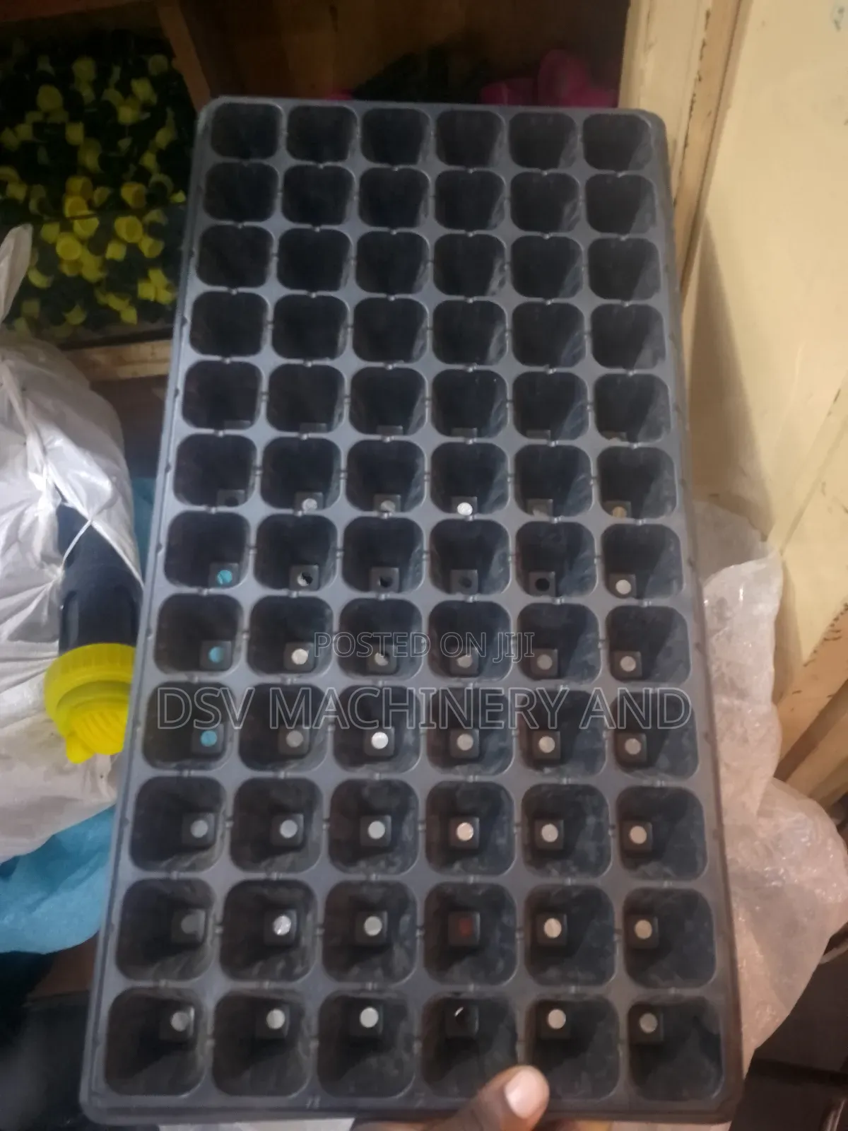 Seed Trays All Sizes