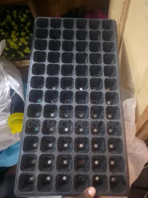 Seed Trays All Sizes