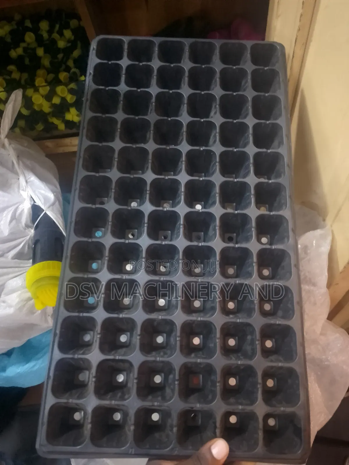 Seed Trays All Sizes