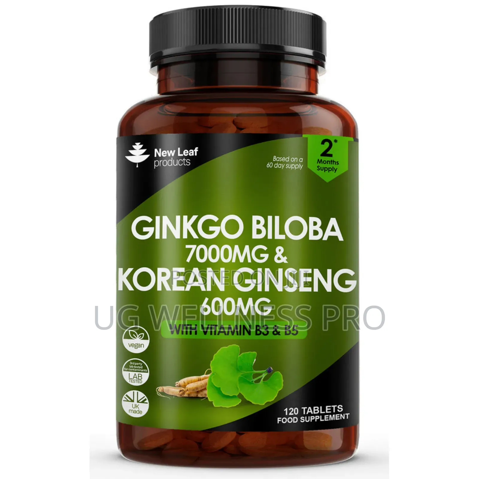 New Leaf Ginkgo Biloba Korean Ginseng Tablets 2 Month Supply