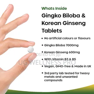New Leaf Ginkgo Biloba Korean Ginseng Tablets 2 Month Supply