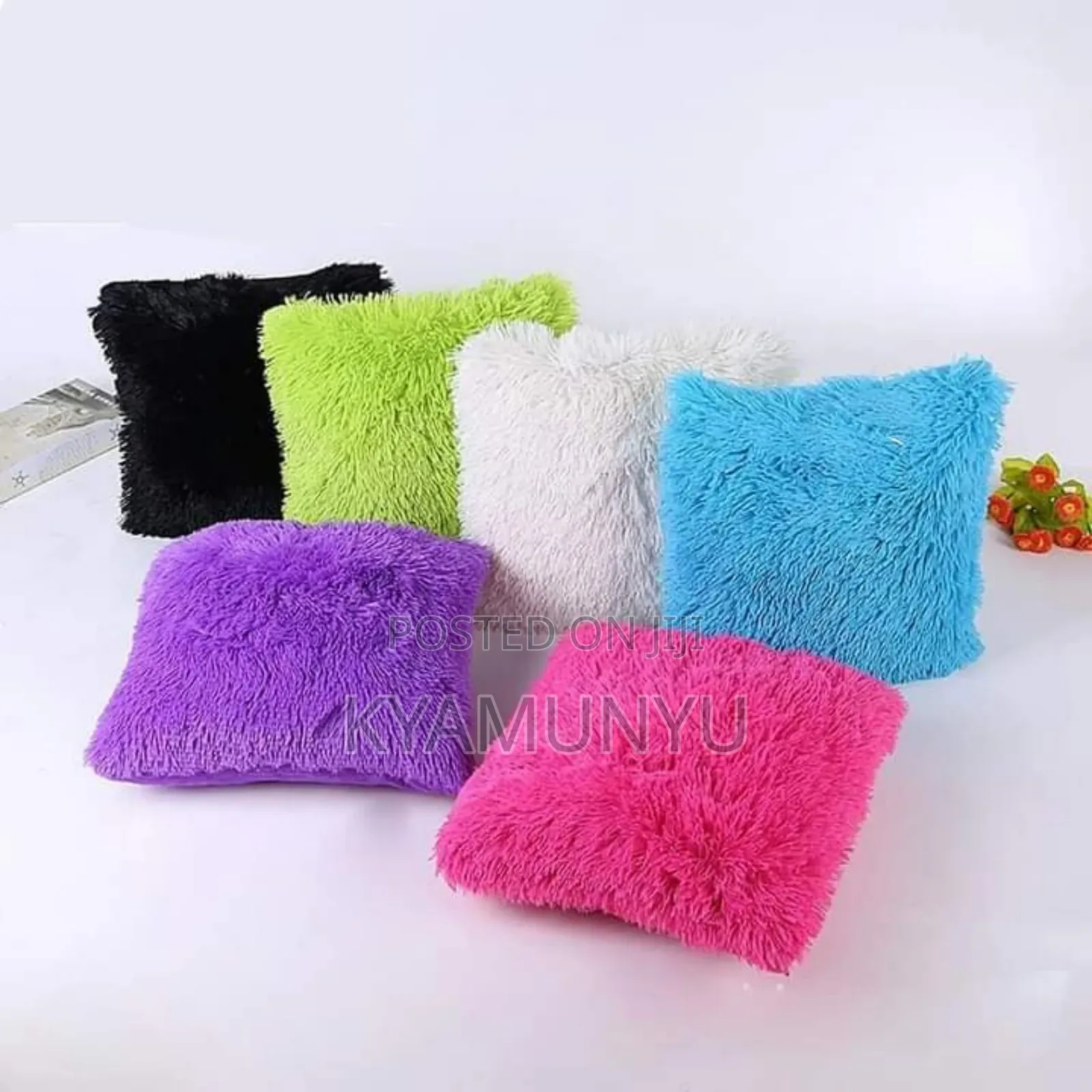 Throw Pillows