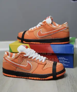 New Unisex Orange Nike Sb Dunk Low Pro Sneakers