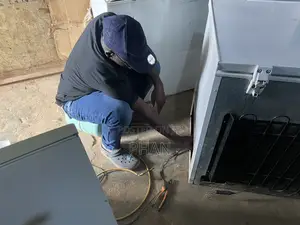 Professional Fridge Technician Services