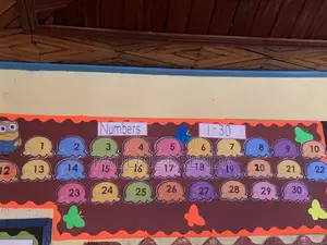 School Charts / Classroom Environment