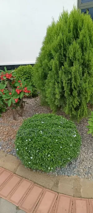 Compound Designing Adding Beauty and Value to Your Property.