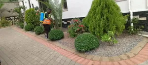 Compound Designing Adding Beauty and Value to Your Property.