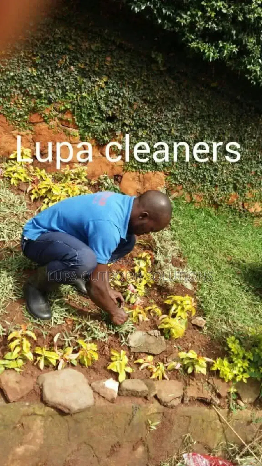 For Compound Designing and Landscaping