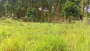 Plot of Land #Kyibanja 50x100
