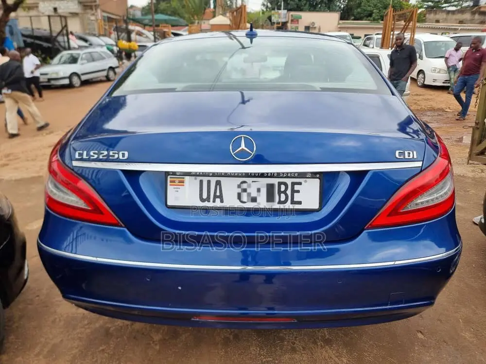 Mercedes-Benz CLS 2013 Blue