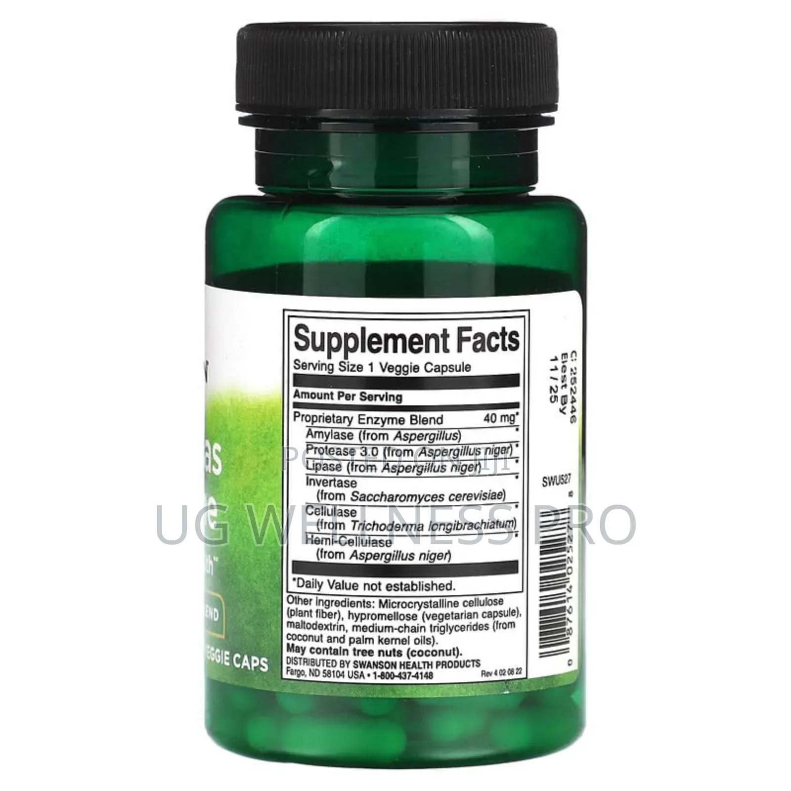 Swanson, Anti-Gas Enzyme, High Potency Blend, 90 Veggie Caps