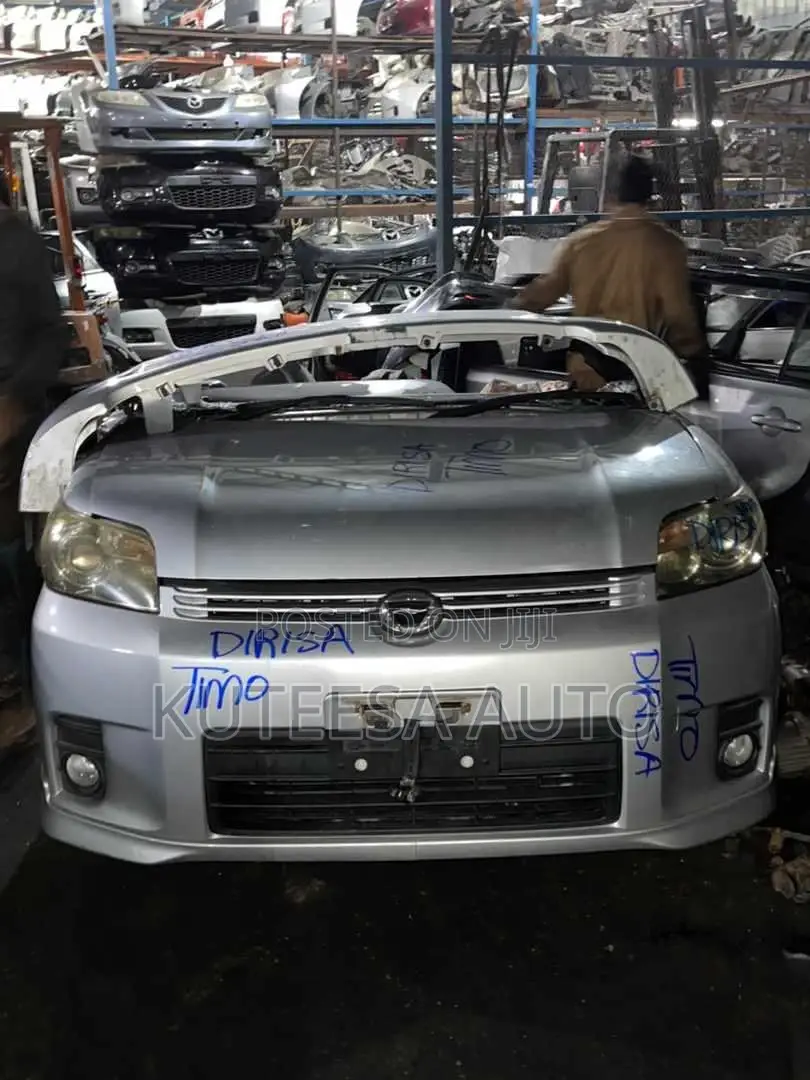 Rumion 2008 Nose Cut