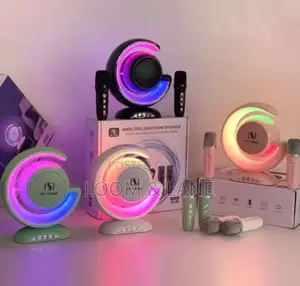Multifunctional High Power Portable Speaker