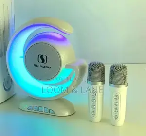 Multifunctional High Power Portable Speaker