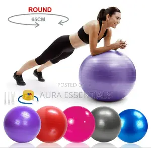 Sturdyfoot Exercise Ball Gym Ball
