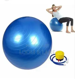 Sturdyfoot Exercise Ball Gym Ball