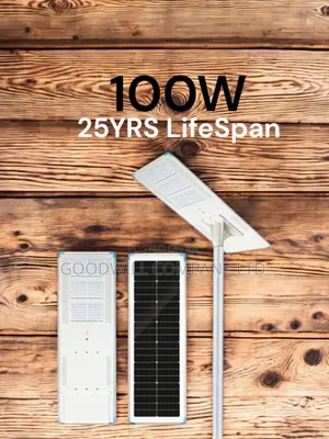 100w Cworth Solar Street Light With Lithium Batteries