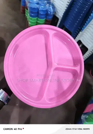 Partition Plastic Plates 12pcs