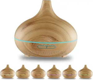 Aromatherapy Diffuser Cool Mist Humidifier for Bedroom Home