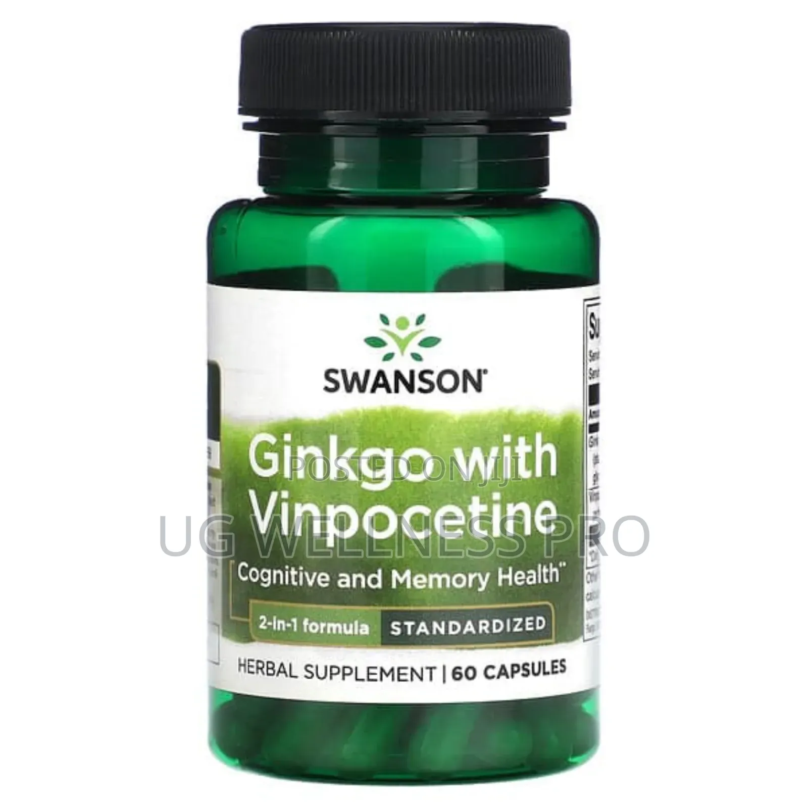 Swanson, Ginkgo With Vinpocetine, Standardized, 60 Capsules