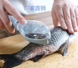 Fish Scale Remover