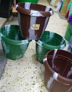 Unique Medium Pot Flowers