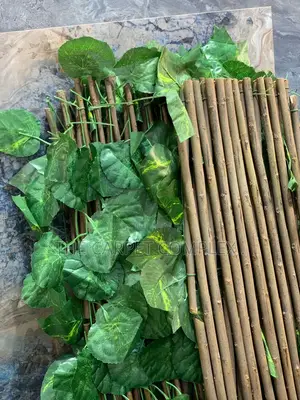 Wall Decoration Plants Per Bunch