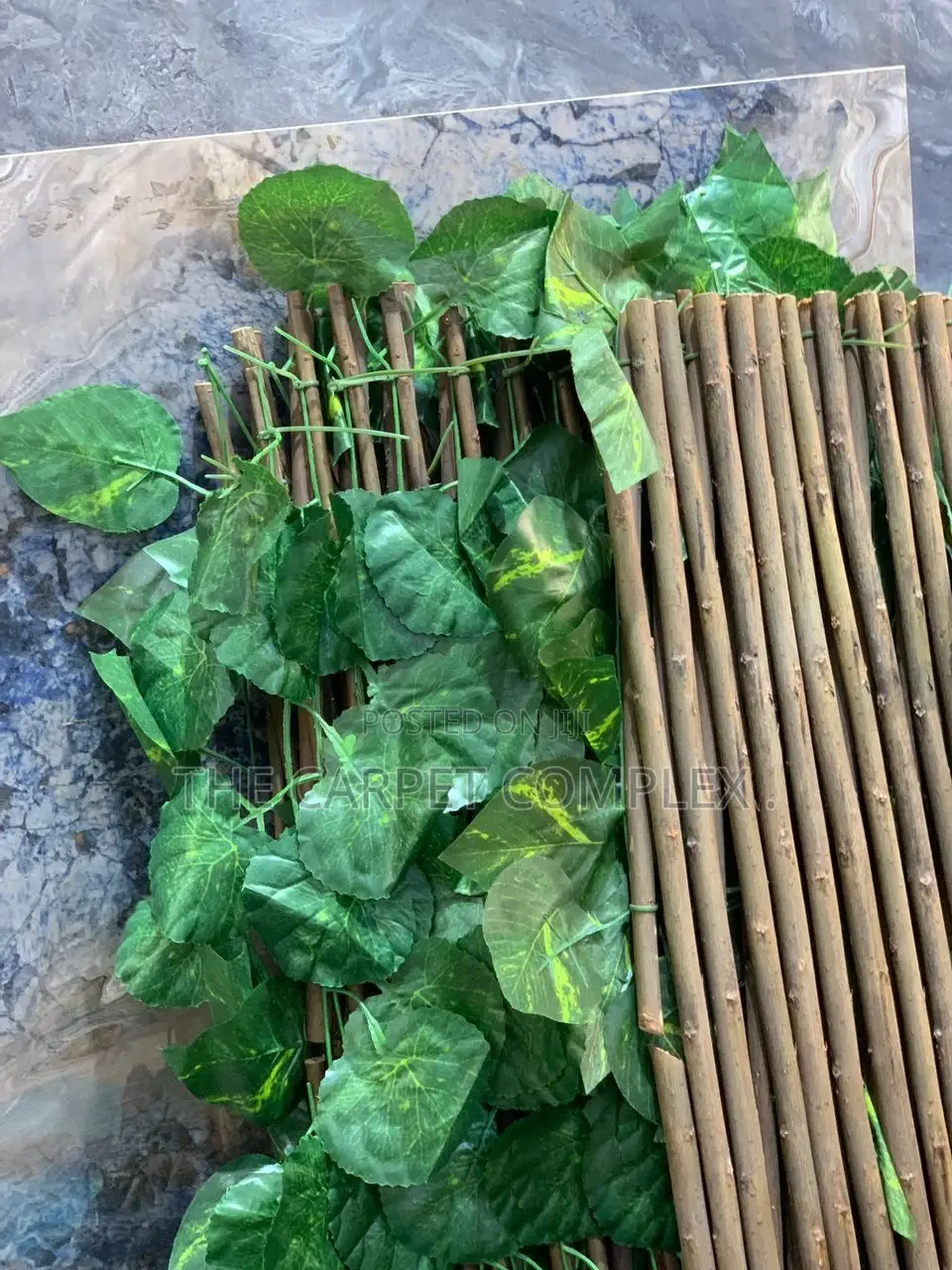 Wall Plants Each