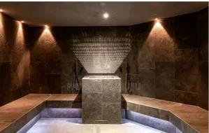Steam and Sauna Installation