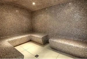 Steam and Sauna Installation