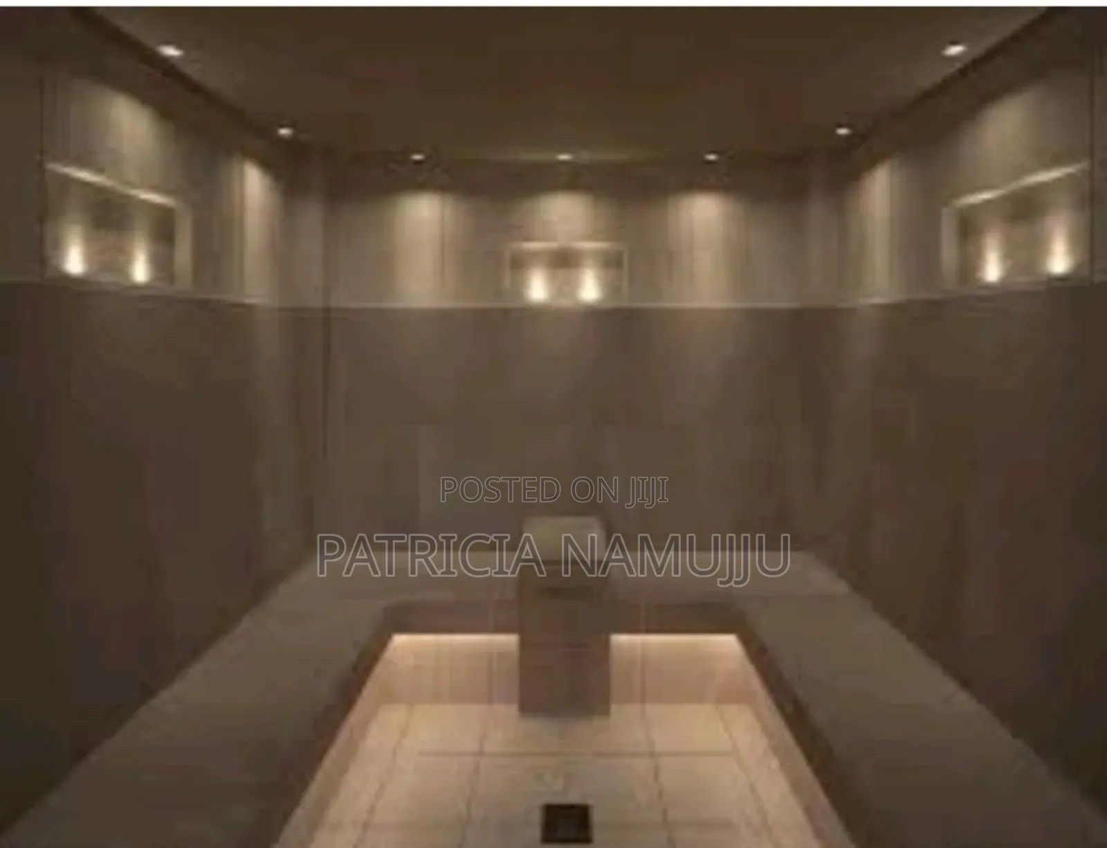 Steam and Sauna Installation