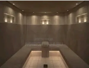 Steam and Sauna Installation