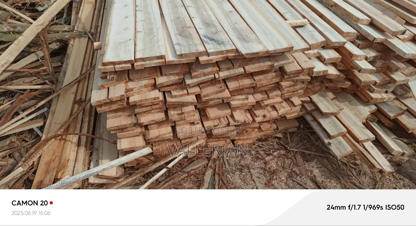 Timber Supply In Kampala