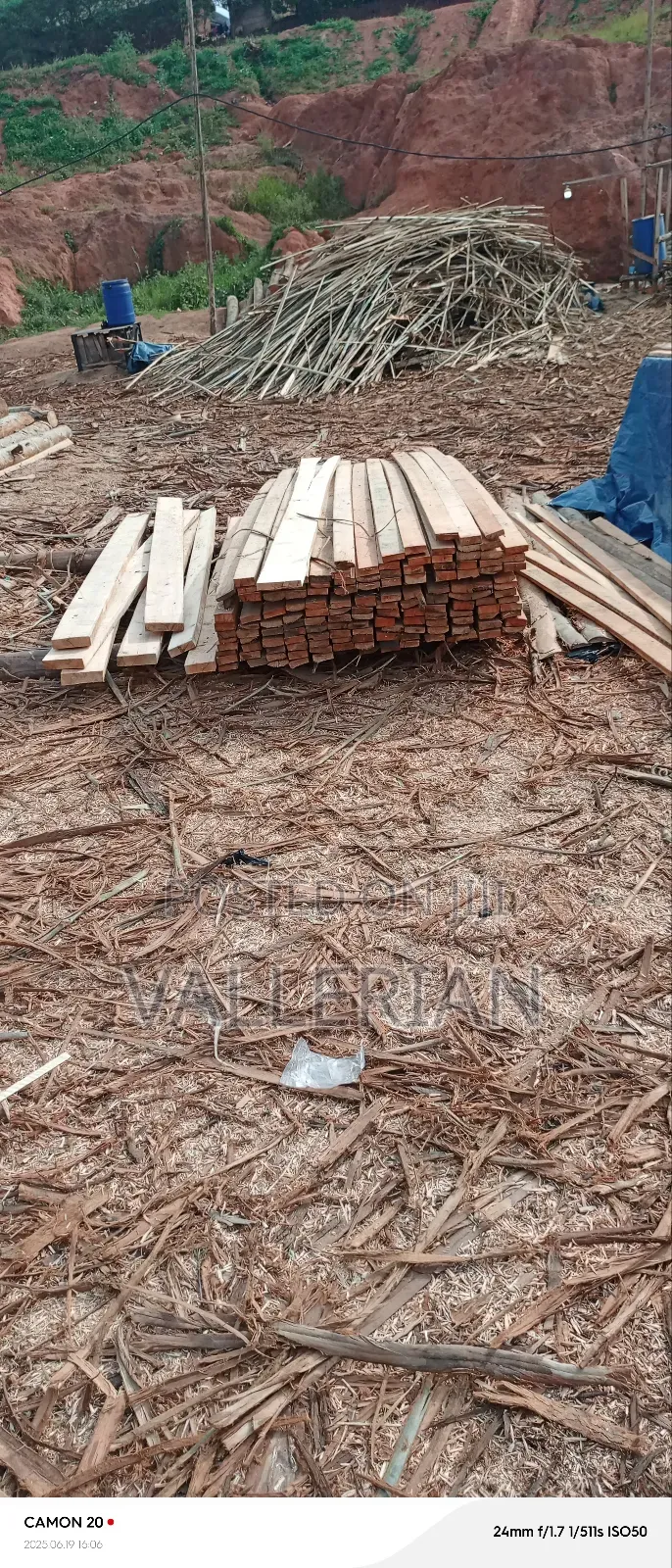 Timber Supply In Kampala
